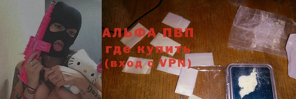 стафф Осинники
