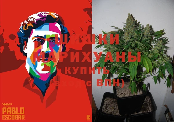 стафф Осинники