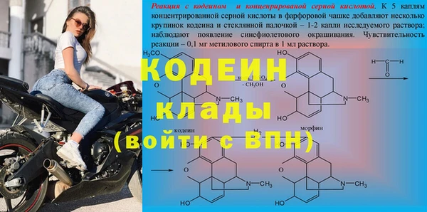 стафф Осинники