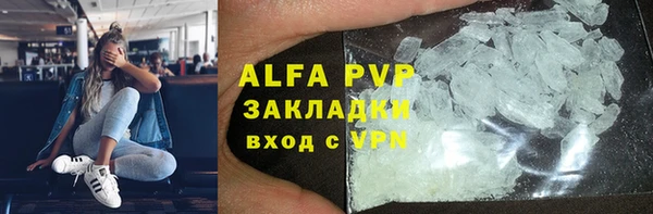 стафф Осинники