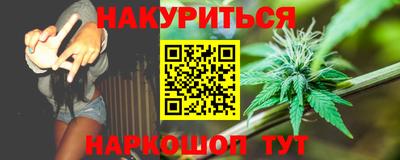 мдпв Гатчина