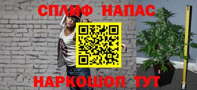 мдпв Гатчина