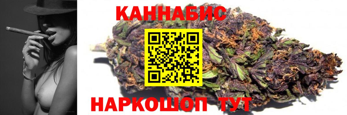 Канабис OG Kush Зима