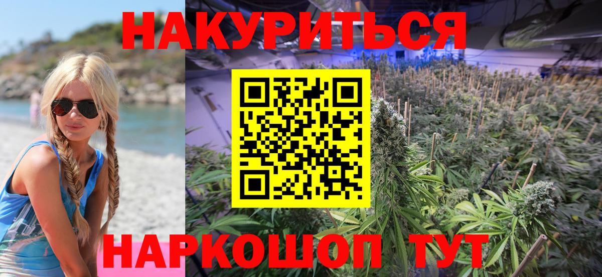 МАРИХУАНА SATIVA & INDICA Зима